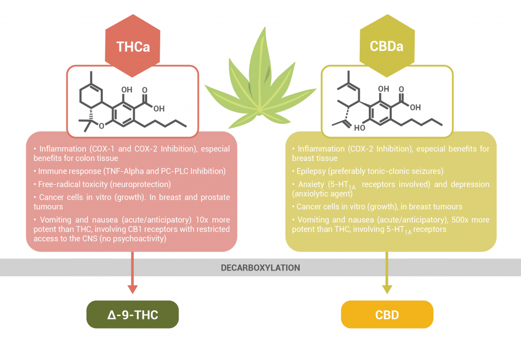Unlock Relief Naturally with CBD and THCA Formulations You Can Trust