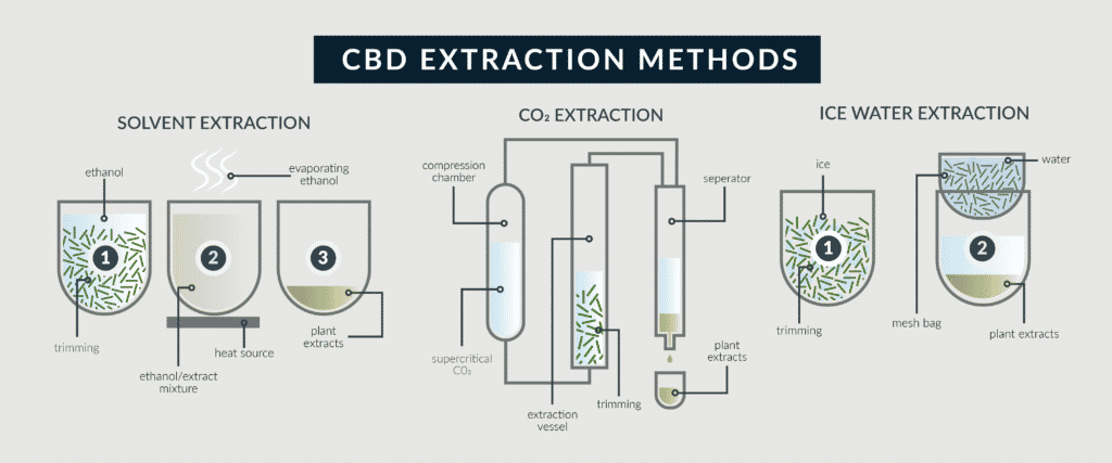 Purity Matters: How Extraction Methods Impact CBD and THCA Quality